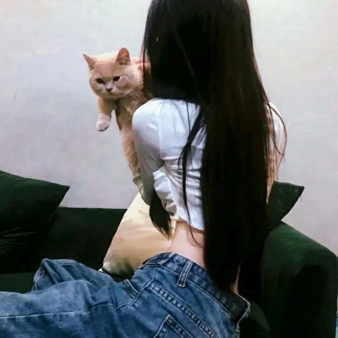 绿色眼镜蛇